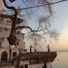 023 Morgens in den Ghats von Varanasi.JPG